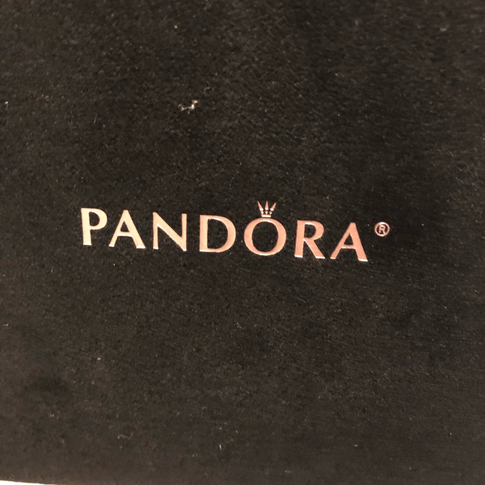 Pandora charms